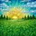 duiyfppz/products/6a13ff936a1febb1b979385f/gallery/ggslZNPHXF