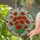 duiyfppz/products/6a14006dd6643c9f8d1dc8dc/gallery/Afn7n-DcS3