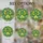 duiyfppz/products/6a1404288fd7f203cfb7d945/gallery/Z8fiWQBUw2
