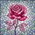 duiyfppz/products/6a140648714d10f1d159683a/gallery/sar-fMqxjQ