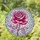 duiyfppz/products/6a140648714d10f1d159683a/gallery/zrU6lgkMwp
