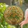 duiyfppz/products/6a1408248fd7f2a4e9b7e009/gallery/Mfhjwah4PF