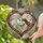 duiyfppz/products/6a1408a1d6643c12c41dd7c5/gallery/JoNdo_zHPg