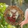 duiyfppz/products/6a140907cd5a5c8a17fdbabc/gallery/hXwq_y9FLM