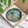 duiyfppz/products/6a140a3dcd5a5c1b16fdbcd8/gallery/zUQzEStZSC
