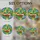 duiyfppz/products/6a140d21d6643c36021de667/gallery/kKV_3sq8pK