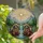 duiyfppz/products/6a1549308357163efdaca9ee/gallery/0hvq0FzkVl