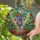 duiyfppz/products/6a1549408357165947acaa27/gallery/LDwJPQH7Oe