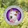 duiyfppz/products/6a154b0730687b80b37a603a/gallery/aKBRt1MHKx
