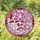 duiyfppz/products/6a154dbb83571630f5acbb2d/gallery/r2wzQU7iGe