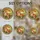 duiyfppz/products/6a1550448357166713acc738/gallery/kWFOFI19Eo