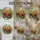 duiyfppz/products/6a1550fb30687b26057a76e2/gallery/cwTk0lmPMV