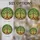 duiyfppz/products/6a155156074980307f253a71/gallery/C-drBMbmJZ
