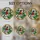 duiyfppz/products/6a1552c77b57363f35a265a1/gallery/c9Q6QJ7kyF