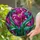 duiyfppz/products/6a15543dc95de4fd8e25da6c/gallery/Gb1OHIp-bZ