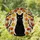 duiyfppz/products/6a1554517b57367a8fa26abc/gallery/8NYipAvMa0