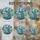 duiyfppz/products/6a155835c95de4415625e365/gallery/xbqxyRijPV