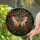 duiyfppz/products/6a1558fbe4b3c62d9142c66d/gallery/d_hFqc36gB