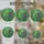duiyfppz/products/6a155933c95de4b7b425e9eb/gallery/UATfW5jvWa