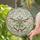 duiyfppz/products/6a1559a783571651b3ace072/gallery/FquiVrrPLz