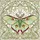 duiyfppz/products/6a1559a783571651b3ace072/gallery/NT4m01wDNz