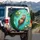 River Otter Floating Back Lily Pads Water Lilies Freshwater Pond - Wildlife Lover Gift Spare Tire Cover - 3