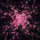 Pink Cherry Blossoms Dark Branches Falling Petals - Home Decor Gift Spare Tire Cover - 6