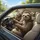 Sloth Family Driving Modern Car Road Trip Landscape - Adventure Traveler Gift Spare Tire Cover - 6
