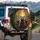 Expressive Raccoons Luminous Forest Tall Trees - Wildlife Lover Gift Spare Tire Cover - 3