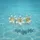 duiyfppz/products/6a1562168357169ed2acf179/gallery/kn9yu1SB08
