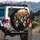 Dense Gathering Realistic Tuxedo Cats Bright Yellow Eyes - Cozy Home Cat Lover Vehicle Gift Spare Tire Cover - 3