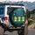Adorable Friendly Cartoon Frogs Tropical Jungle Butterflies - Wildlife Lover Gift Spare Tire Cover - 3