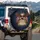 Bald Eagle American Flag Shield - 250th Anniversary Independence Day Gift for Veterans Spare Tire Cover - 3