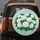 White Hydrangea Emerald Leaf Pastel Mint Background Sparkle - Home Decor Gift Spare Tire Cover - 5