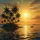 Golden Sun Tropical Island Palm Trees Ocean Sunset - Beach Vacation Travel Spare Tire Cover - 6