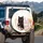 Fluffy Kittens Cherry Blossoms Roses Butterflies - Cat Lover Vehicle Gift Spare Tire Cover - 3