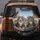 Grimacing Tabby Cats Urban Landscape - Everyday Car Decor for Cat Owners Spare Tire Cover - 5