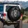 Majestic Lion Head Black Background - Wildlife Lover Gift Spare Tire Cover - 3