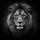 Majestic Lion Head Black Background - Wildlife Lover Gift Spare Tire Cover - 6