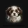 Shih Tzu Puppy White Brown Fur Dark Eyes Black Background - Dog Lover Gift Spare Tire Cover - 6
