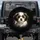 Shih Tzu Puppy White Brown Fur Dark Eyes Black Background - Dog Lover Gift Spare Tire Cover - 1
