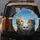 Curious Domestic Cats Tabby Calico Blue Sky Clouds - Pet Lover Gift Spare Tire Cover - 5