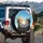 Curious Domestic Cats Tabby Calico Blue Sky Clouds - Pet Lover Gift Spare Tire Cover - 3