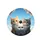 Curious Domestic Cats Tabby Calico Blue Sky Clouds - Pet Lover Gift Spare Tire Cover - 4