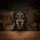 Realistic Black Tan Dachshund Dog Face Amber Eyes Wooden Plank - Pet Lover Gift Spare Tire Cover - 6