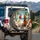 Realistic Chickens Tropical Beach Ocean - Wildlife Lover Gift for Chicken Lover Spare Tire Cover - 3