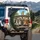 Bulldog Golden Retriever Sunglasses Macaw Raccoons Driving - Road Trip Travel Gift Spare Tire Cover - 3