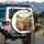Expressive Ginger Tabby Grey Cat Journey Scenic - Travel Lover Gift for Cat Lovers Spare Tire Cover - 3