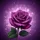 Magnificent Purple Rose Glistening Dewdrops Green Leaves - Garden Nature Gift Spare Tire Cover - 6
