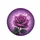 Magnificent Purple Rose Glistening Dewdrops Green Leaves - Garden Nature Gift Spare Tire Cover - 4